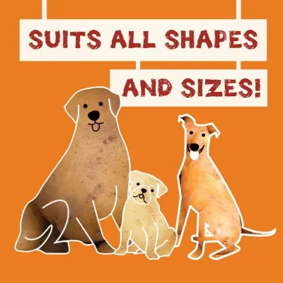 Pawtato TUBES Seaweed