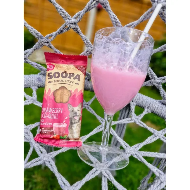 Soopa Dentals Jahodový Dog-Quiri 