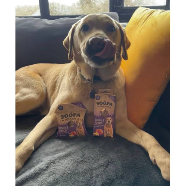 Soopa SENIOR Bites BANÁN A TEKVICA