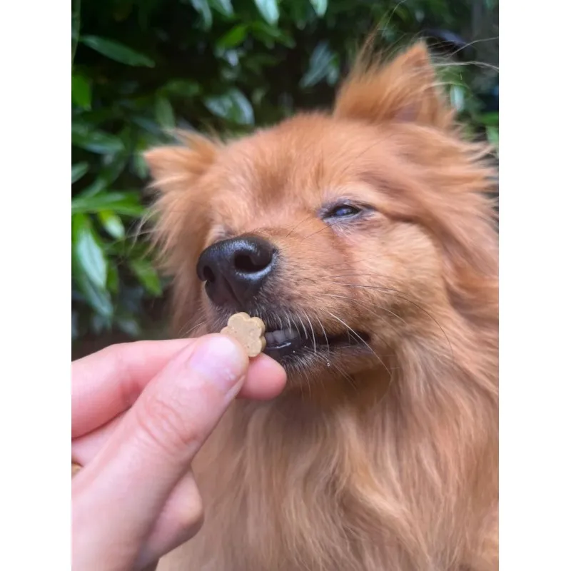 Soopa MNI Bites BANÁN A TEKVICA