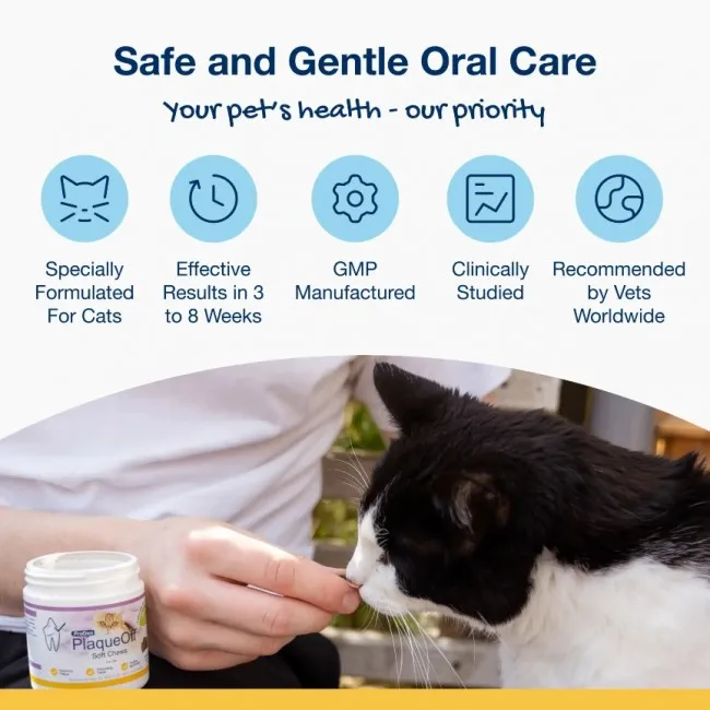 ProDen PlaqueOff SOFT CHEWS pre mačky