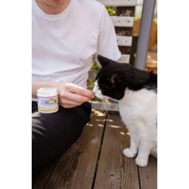 ProDen PlaqueOff SOFT CHEWS pre mačky