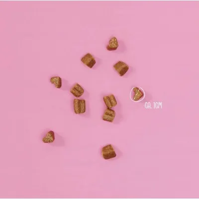 Vegdog MOBILITIES MINIS